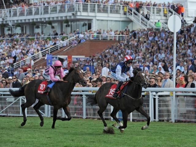 Two of Saturday's bets come from Goodwood